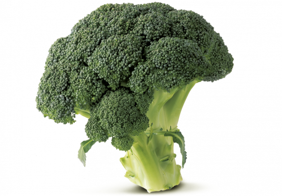 Broccoli / Mählmann-Gemüsebau