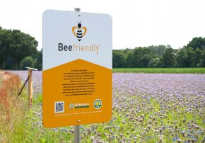 Beefriendly – Bienenschutz von Mählmann Gemüsebau.